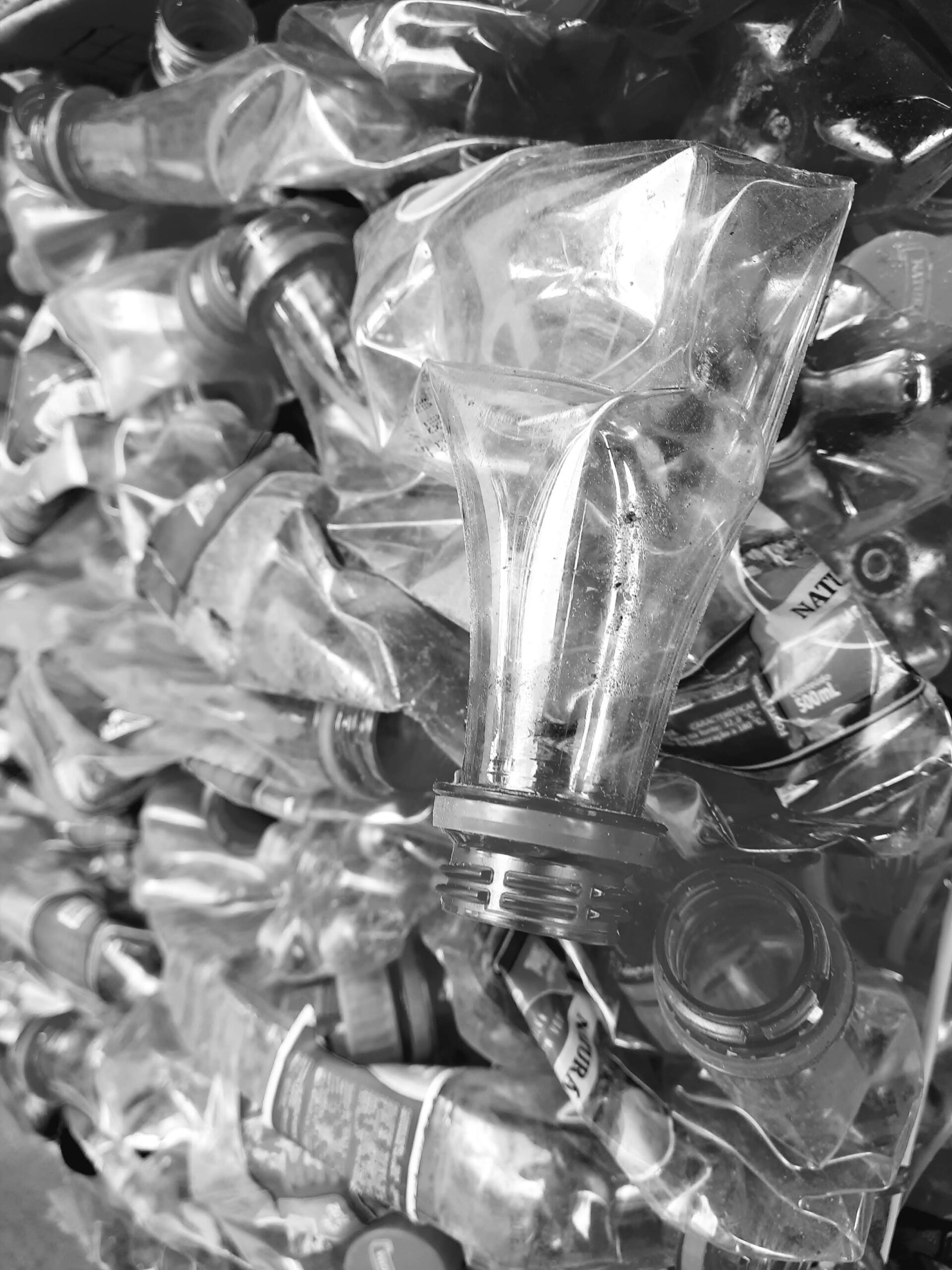 Garrafa Transparante compactadas